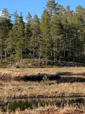 Velkommen til Finnskogen og minihytta Rimbila